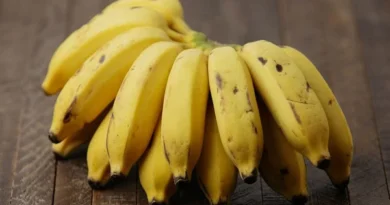Os 7 Tipos Mais Populares de Banana no Brasil
